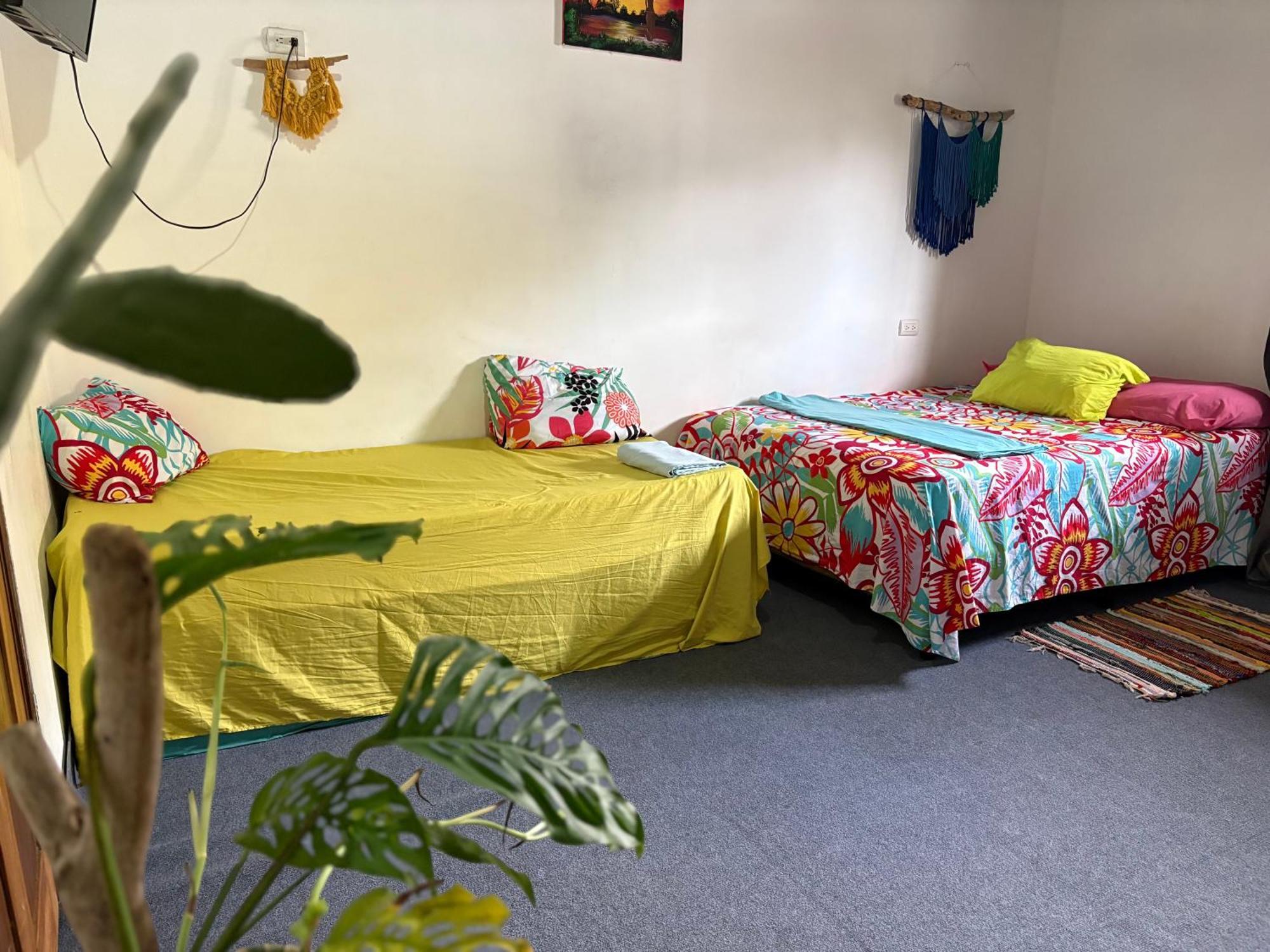 Passifloras Apartment *